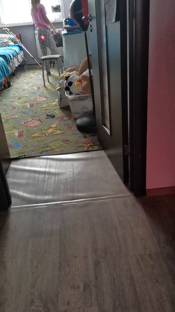 VID_20260110_112554.mp4 смотреть онлайн