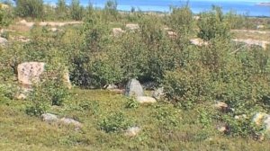 ©  "На Лодейном 1" 2004 г Съемки экспедиции