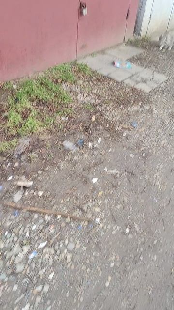 Хочется помочь как можно большему количеству животных, но, увы, на это нет средств. #БелыйАнгел