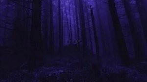 Жизнь где-то далеко 🎧