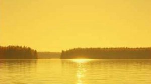 가을이 무너졌다,(Гаэлли совсем одичал)