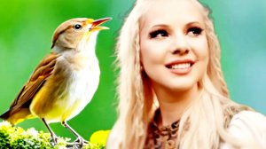 Sandra N - Pe Cararea Muntilor Remix