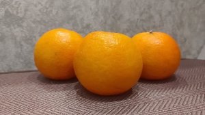 Дело в морде. Страничка надежды.