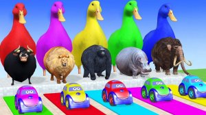 Веселые игры с слоном, гориллой, бегемотом, тигром - 3D игра с животными - Забавные 3D животные