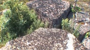 ©  "На Лодейном  Бест 1" 2004 г