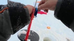 Мороз да с ветром а мы на озеро за щукой с окунем.