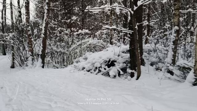 Лыжная прогулка #4 ❄️🌲❄️⛷️❄️🌲❄️ 05.01.2026 смотреть онлайн