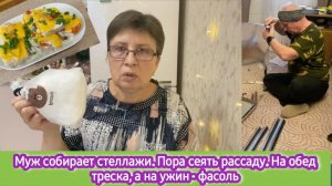 Муж собирает стеллажи, пора сеять рассаду. На обед треска, а на ужин - фасоль