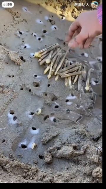 Вкусняшки 😋 смотреть онлайн