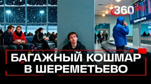 Коллапс с выдачей багажа и вылетом. Шереметьево парализовал снегопад
