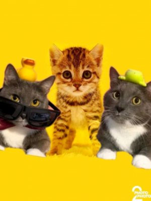 неезвестно