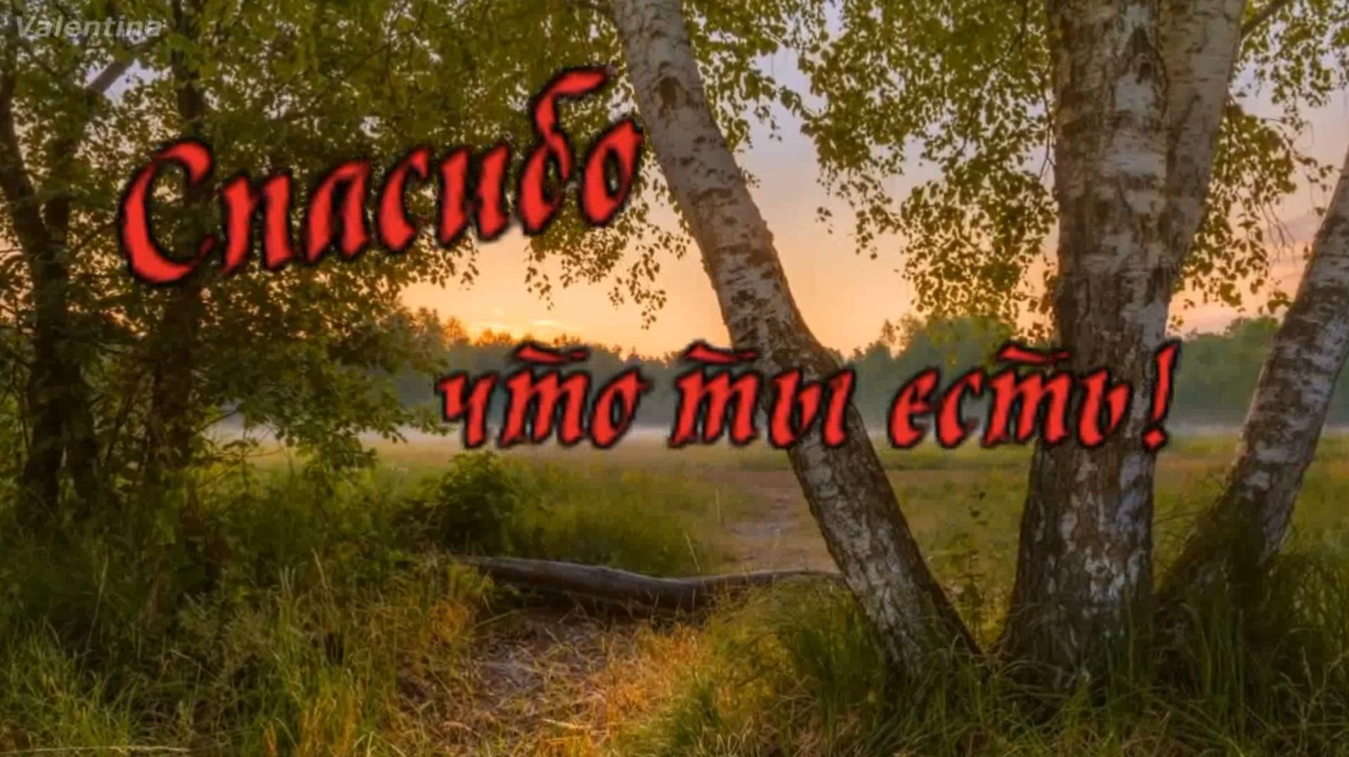 Зиновий Бельский - Спасибо что ты есть!! смотреть онлайн