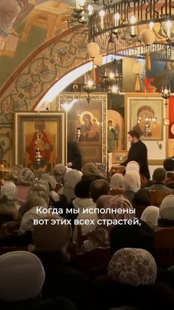 Осипов, не тронь меня