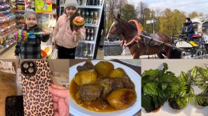 ПОСЛЕДНИЙ ВЛОГ БЕРЕМЕНЯШКИДОМАШНИЕ ХЛОПОТЫМНОГО ПОКУПОК️ПИТЕРСКАЯ ОСЕНЬ