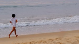 Россиян предупредили об опасности песчаных блох на пляжах Индии