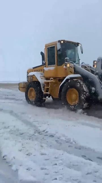 А вы уже откопали своего коника !? смотреть онлайн