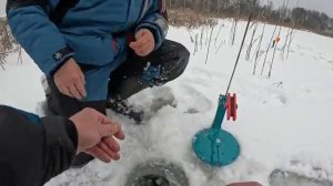 СЕЛ КРУПНЯК И ПОШЛА БОРЬБА!! РЫБАЛКА НА ЖЕРЛИЦЫ 2026.ЗИМНЯЯ РЫБАЛКА НА ЩУКУ.