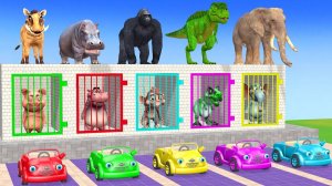 Веселые игры с слоном, гориллой, бегемотом, тигром - 3D игра с животными - Забавные 3D животные