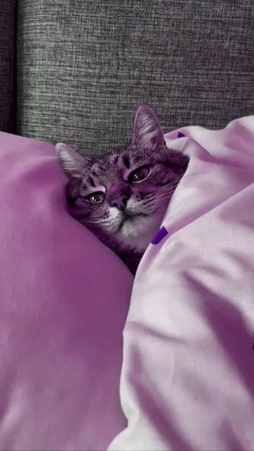 Начался очередной день моего безудержного веселья на зимних каникулах🙄