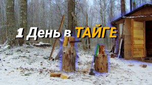 Один день в ТАЙГЕ: Охота, Стройка туалета и Лесная готовка | Однажды в Карелии