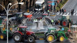 Европейские фермеры вышли на улицы. Аграрии бастуют против торговой сделки ЕС с Южной Америкой