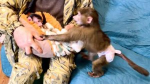 Анфиса ВЕРНУЛАСЬ ОТ ЛЮСЬКИ и стала вести себя ТАК ЖЕ КАК И СТЕПКА!))