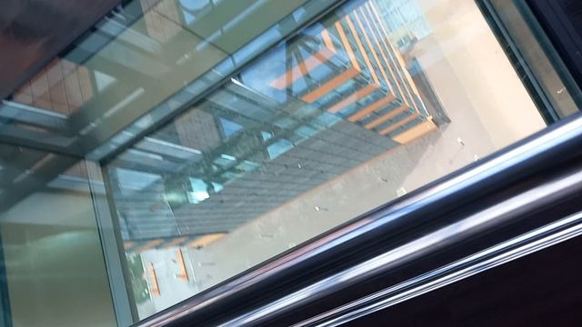 08.08.2024г г. Новосибирск Академгородок ул. Николаева 12 Технопарк