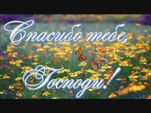 СПАСИБО ГОСПОДИ!