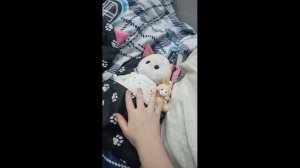 наш вчерес с басятами! |влог