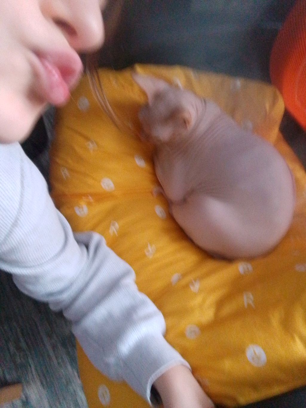 встречаю свою подругу и иду с ней в магаз смотреть онлайн