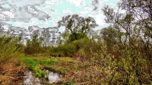 Майская природа