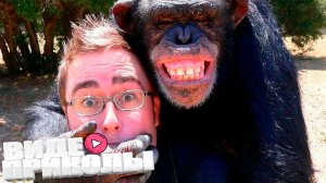 ВИДЕОПРИКОЛЫ \ КРУТЫЕ ПРИКОЛЫ 2025 \ НОВЫЕ ПРИКОЛЫ \ СМЕШНЫЕ ПРИКОЛЫ 2025 ЮМОР