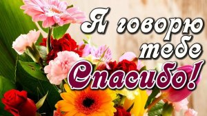 Я ХОЧУ СКАЗАТЬ ТЕБЕ СПАСИБО...