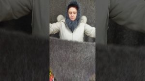 89507716355  Пуховые косынки на любой вкус.
