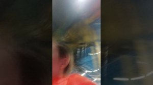 сегодня в боше парке челендж