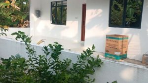 Остров Камаду, Мальдивы, январь 2026 (Kamadhoo, Maldives, January 2026)