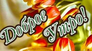 Доброе утро! Тёплые слова в морозное утро!