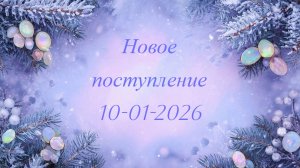 Новое поступление 10-01-2026