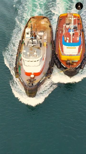 Морская зима в Пьюджет-Саунд ⚓ Буксиры за работой | DJI Mini 4