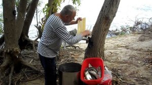 2017 Никольское