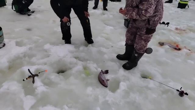 10.01.26 г. РК Волна.