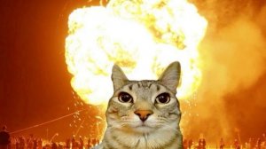 Играю на админ абьюзе в steal a brainrot(*/ω＼*)