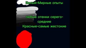 Сборник 1 и 2 главы эксперементы