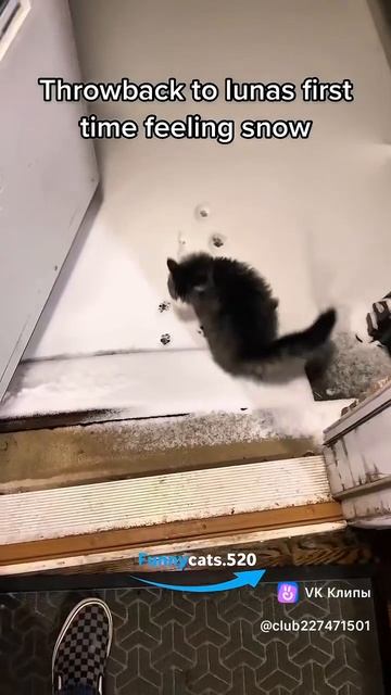 зима! да ну на!)