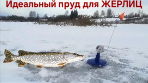 ⭐️Жерлицы и Щуки: ловим бригадой на льду⚡️ Зимняя рыбалка-2026 на Диком пруду !!