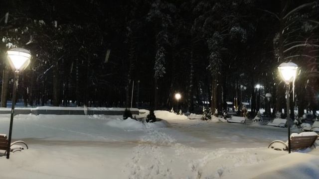 PXL_20260110_070758276