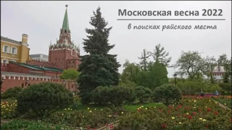 Московская весна 2022. (1 серия) Главная библиотека России. смотреть онлайн