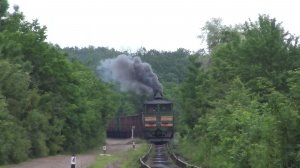 Смысловые Галлюцинации - Вечно Молодои