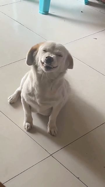 1659069373_317540090_410442254745259_5104342778821857446_n.mp4