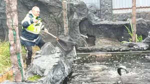 Ловим форель в домашнем пруду